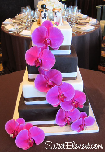 Tagged brown and white wedding cake cake 